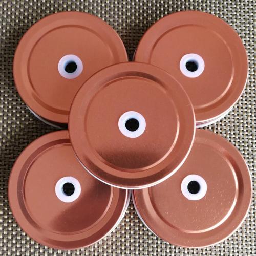 5 Stück MASON Jar Deckel mit Strohlöcher, Metall Stahl Regular Mouth Konservierschließer, Wiederverwendbar, Dicht, Lagerung, Deckel für Zuhause, Küche, Geburtstag, Hochzeit, Trinkutensilien (Roségold, 70mm)