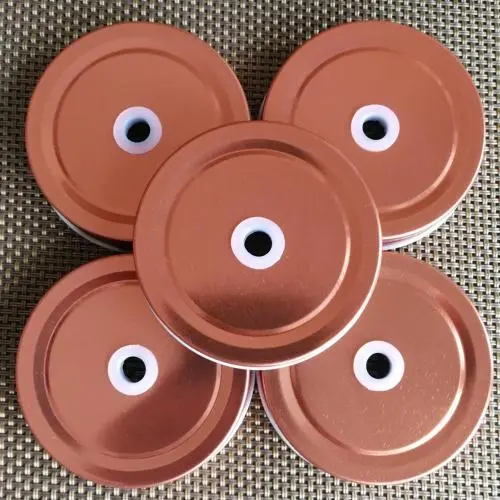 5 Pieces MASON JAR Lids with Straw Hole Metal Steel Regular Mouth Canning Cover Reusable Leakproof Storage Cap Home Kitchen Birthday Party Wedding Drinking Supplies (Rose Golden, 70mm)