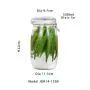 1500ml Glass Kitchen Storage Canister Mason Jars with Lids, Airtight Glass Canister with Hinged Lid,Perfect for Kitchen Canning Cereal,Pasta,Sugar,Beans 1500ml Glass Kitchen Storage Canister Mason Jars with Lids, Airtight Glass Canister with Hinged Lid,Perfect for Kitchen Canning Cereal,Pasta,Sugar,Beans