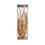 Ensemble de bocaux en verre de 85mm H 270mm 1280ml avec couvercles en bambou – Boîtes de rangement alimentaires pour sucre, bonbons, biscuits, riz et épices. Ensemble de bocaux en verre de 85mm H 270mm 1280ml avec couvercles en bambou – Boîtes de rangement alimentaires pour sucre, bonbons, biscuits, riz et épices.