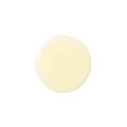 The Midnight Repair Oil, Anti-Aging Facial Oil for Overnight Repair, Lightweight, Boosts Glow, Improves Complexion, For All Skin Types, All Natural, Vegan, Cruelty Free, Paraben Free