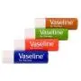 Vaseline Lip Therapy Stift mit Petrolzwiebel (Original, Aloe Vera, Rosy Lips, Cocoa Butter) – 4er Set