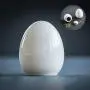 DehuaYao Ceramic White Easter Eggs Tea Canister DehuaYao Ceramic White Easter Eggs Tea Canister