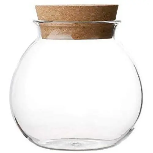 WANGLXST Food Storage Container, Sealed Cans Dried Fruit Sealed Jar Wooden Lid Storage Tank, Good Sealing, Glass Bottle, Transparent