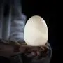 DehuaYao Ceramic White Easter Eggs Tea Canister DehuaYao Ceramic White Easter Eggs Tea Canister