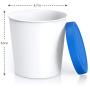 BALCI - Premium Ice Cream Containers (2 PACK - 1 Quart Each) Perfect Freezer Storage Tubs with Lids for Ice Cream, Sorbet and Gelato! (BLUE)
