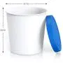 BALCI - Premium Eisbecher (2er-Set - Jeweils 1 Quartal) Perfekte Gefrierbehälter mit Deckeln für Eis, Sorbet und Gelato! (BLAU)