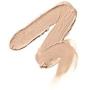 Shiseido Perfecting Stick Concealer for Women, No. 22 Natural Light, 0.17 oz