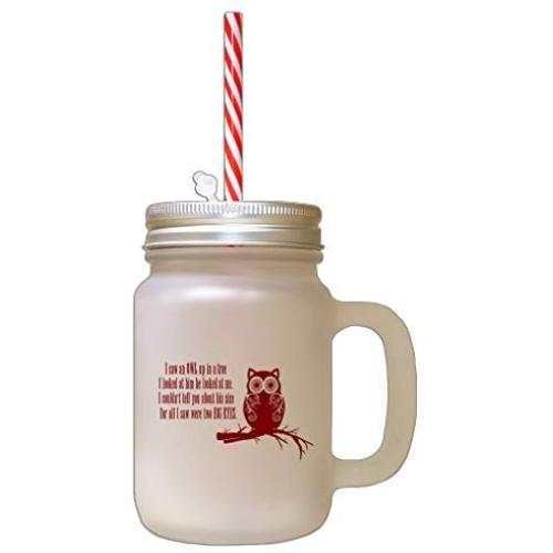 Maroon Saw An Owl Up On Tree Looked Them He Looked Me Owl Frosted Glass Mason Jar With Straw