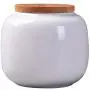 Mini Tea Storage Containers Tea Tins Food Storage Jar, Ceramics Tea Canister Traditional Tea Caddy, Portable Sealed Storage Tank Can Store Tea/Seed/Coffee/Pepper with Airtight Lid (White)