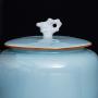 Tea Canister,Tea Jar Ceramic Sealed Cans With Lid Large Capacity Household Storage Tank Extra Large, Candy Jars, Food Storage Tank Kitchen (Color : Blue, Size : XS)
