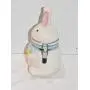 BW New 8" White Bunny Rabbit with Colorful Flowers Ceramic Decorative Air Tight Hinged Canister Storage Jar
