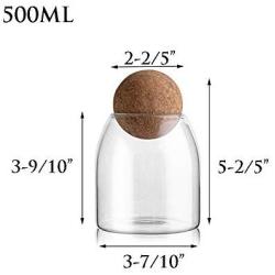 Danmu 1Pc of Lead Free Borosilicate Glass Jars Food Storage Jars with Wood Cork Tea Coffee Bean Jar Cookies Flour Sugar Candy Spice Container (500ML)