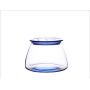 HOUSIYU Glass Jar, Tinted Transparent Glass Food Moisture-Proof Sealed Storage Tank, Suitable for Coffee Bean Tea Dried Fruit Grain, Blue 500ml