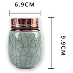 Portable Mini Tea Cans Metal Cover Ceramic Small Tea Pot Caddies Coffee Beans Jar Candy Storage Canister,F