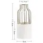 Scandinavian Ceramic Iron Wire Vase Plant Hydroponic Jar Elegance Flower Detachable Storage Jar Minimalist Desktop Decor Art Vas,Middle Gold Scandinavian Ceramic Iron Wire Vase Plant Hydroponic Jar Elegance Flower Detachable Storage Jar Minimalist Desktop Decor Art Vas,Middle Gold