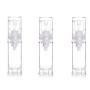 6PCS Transparent Airless BPA Free Pump Bottle Empty Refillable Plastic Vacuum Press Jars Pot Bottle Vial Container For Makeup Foundations Serums Lotion Cream Emulsion Liquid Cosmetic(5ml/0.17oz)