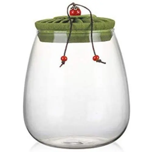 Clear Glass Candy Jar with Lid - Wide Mouth Preserving Jar Cookie Ball Container Tea Storage Canisters Food Storage Container (1000 ML/34 OZ,Green)