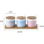 Mini Spice Jars Nordic creative seasoning set three-piece kitchen supplies Mini Spice Jars Nordic creative seasoning set three-piece kitchen supplies