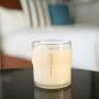APOTHIA Premium Scented Candle | Non-Toxic Candle with Naturally Derived Soy Wax Blend | Up to 60 Hour Long Burn Time | 9 oz