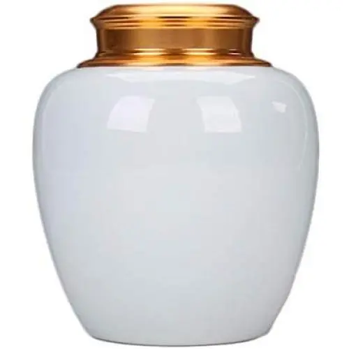 Luftdichte Lebensmittelbehälter Schalen mit Deckeln Große, Keramik Porzellan Müsli Behälter Dose Cookie Jar für Küchenregal Organisation Mehl Reis Süßigkeiten Groß, 1L, 12x14cm (Farbe: Weiß)