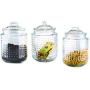 Home Basics Dotted 40.5 oz. Glass Canister Jar with Glass Fresh Sealed Air-Tight Lid, Food/Grocery Storage for Tea, Coffee, Sugar, Lentil, Pasta Containers (Set of 3), Clear