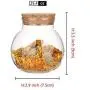 Najer Lebensmittelbehälter Glas Dichtung Küchen Organizer Behälter mit Bambusdeckeln, BPA-frei zur Konservierung von Kaffee, Süßigkeiten, Keksen, Pasta, Müsli und Mehl, 15 fl oz (DxH/3x3,5 Zoll)