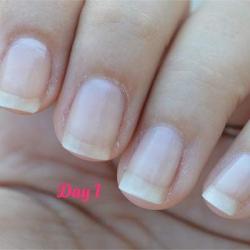 Nail Butter Cuticle Repair Cream, Hangnail Cream with Lemongrass Essential Oil, 1 oz Jar