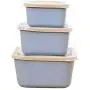 WANGLX ST Storage Tank Three-Piece Plastic Sealed Cans Grain Storage Box Kitchen Food Storage Jar for Serving Tea, Coffee, Spice,Flour, Sugar, Cereals, Leakproof and More
