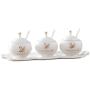 Mini Spice Jars European ceramic seasoning jar set home room creative large capacity storage box