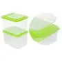 Tree House Pp Plastic Storage Box, Large Food Canisters Durable Transparent Jars with lid Pack of 5-G 1.3lx5 Tree House Pp Plastic Storage Box, Large Food Canisters Durable Transparent Jars with lid Pack of 5-G 1.3lx5