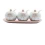 Mini Spice Jars Small fresh combination seasoning jar three-piece kitchen supplies