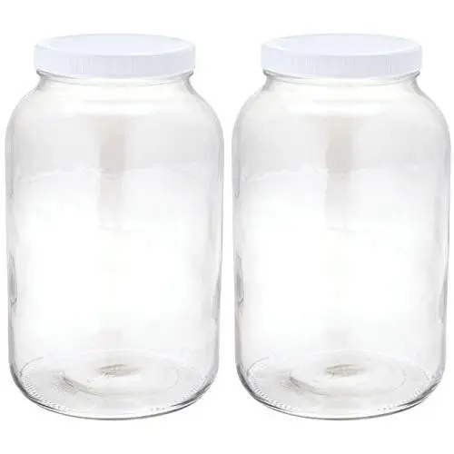 2er Pack Scoby mit 1 Gallone Glas Kombucha Einfachstarter-Set zum Hausebrauen und Fermentieren mit Tuchfilter, Gummiband und Plastikdeckel – von Kitchentoolz