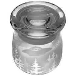 IncisoArt Hand Etched Vibe Storage Jar Sandblasted (Sand Carved) Glass Handmade USA Custom (4.5 Ounce (133ml), UFO Forest Mountains)