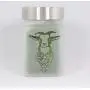 Stash Jar with Golden Goat Cannabis Strain Design - Smell Resistant Herb Storage and Accessories, Airtight - 3" Tall x 2" Wide Stash Jar with Golden Goat Cannabis Strain Design - Smell Resistant Herb Storage and Accessories, Airtight - 3" Tall x 2" Wide