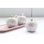 Mini Spice Jars Small fresh combination seasoning jar three-piece kitchen supplies
