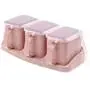 Küchengewürz Box Kunststoff Gewürzbehälter Set Haushaltsgewürz MSG Lagerbox Salzbehälter Gewürzboxen, PINK3