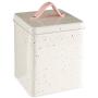 Premier Housewares Storage Canister, Powder Coated Metal Silver