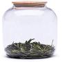 Tea Jar Sealed Storage Tank Kitchen Gadgets Coffee Beans Cans Dust Proof Moisture Proof Storage Glass Jars Accessories Tools 1