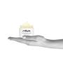 RAYA Revitalizing Cream (307) | Moisturizing, Regenerating, and Calming Facial Day and Night Cream for Dry and Irritated Skin | Nourishes and Helps Reduce Fine Lines and Wrinkles