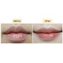 FRUDIA Blueberry Hydrating Honey Lip Balm 10g / 0.33oz