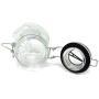 Bullfrog Clear Glass Container (100mL/Medium)