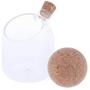 Food Storage Jar, Glass Kitchen Container Clear Transparent Coffee Tea Canisters with Cork Topper - 500ml