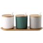 TNKML Ceramic Sauce Jar Set Seasoning Box Sugar Bowl Salt Sauce Spice Jar Cruet Storage Tank Kitchenware Spice Container-C