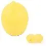 Contenants & Boîtes BizAmzz – Fruits & Légumes Fraîcheurs, Conservateurs pour Oignons, Citrons, Tomates, Ail – Pots, Boîtes, Bouteilles, Rangement pour Ail, Oignon, Contenant en Plastique, Boîte de Repas. Contenants & Boîtes BizAmzz – Fruits & Légumes Fraîcheurs, Conservateurs pour Oignons, Citrons, Tomates, Ail – Pots, Boîtes, Bouteilles, Rangement pour Ail, Oignon, Contenant en Plastique, Boîte de Repas.