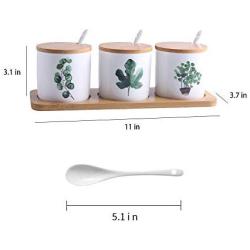 Porcelain Canisters，Set of 3 Spice Jar with Airtight Bamboo Lid,Kitchen Seasoning Jar (Plant 01)