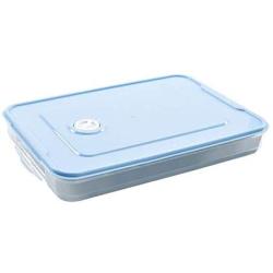 Single Layer Refrigerator Storage Box Food Dumplings Egg Fish Airtight Storage Container Plastic Box dispensador de cereal,Blue