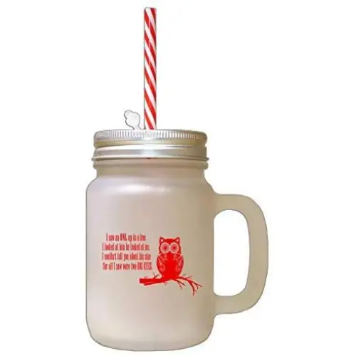 Red Saw An Owl Up On Tree Looked Them He Looked Me Owl Frosted Glass Mason Jar With Straw