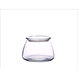 HOUSIYU Glass Jar, Tinted Transparent Glass Food Moisture-Proof Sealed Storage Tank, Suitable for Coffee Bean Tea Dried Fruit Grain, Transparent 500ml