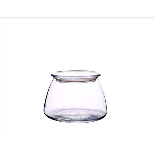 HOUSIYU Glass Jar, Tinted Transparent Glass Food Moisture-Proof Sealed Storage Tank, Suitable for Coffee Bean Tea Dried Fruit Grain, Transparent 500ml